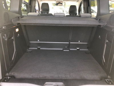 Renault Kangoo Tageszulassung