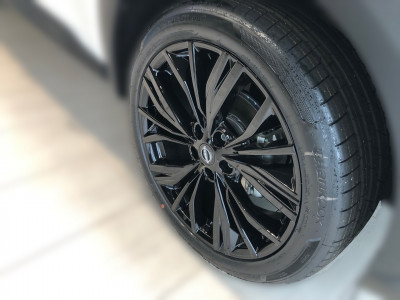 Nissan Juke Tageszulassung