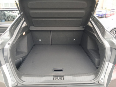 Renault Arkana Gebrauchtwagen