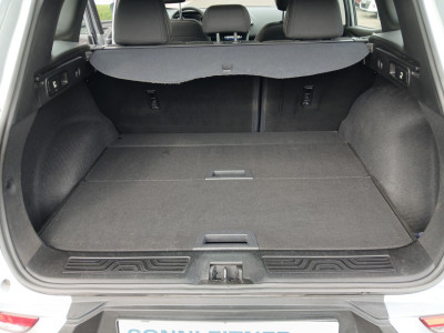 Renault Kadjar Gebrauchtwagen