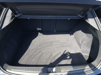 Renault Rafale Gebrauchtwagen