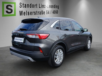 Ford Kuga Gebrauchtwagen