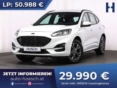 Ford Kuga Gebrauchtwagen