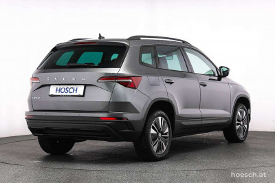 Skoda Karoq Gebrauchtwagen