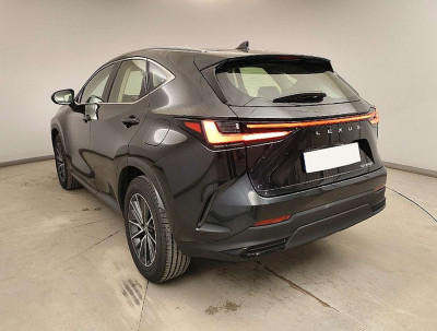 Lexus NX Gebrauchtwagen