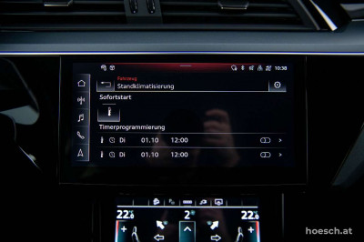 Audi e-tron Gebrauchtwagen