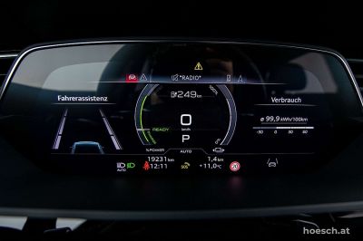 Audi Q8 e-tron Gebrauchtwagen