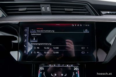 Audi Q8 e-tron Gebrauchtwagen