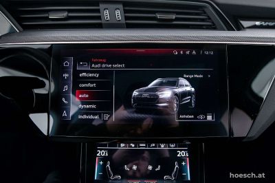 Audi Q8 e-tron Gebrauchtwagen Audi Q8 e-tron Gebrauchtwagen