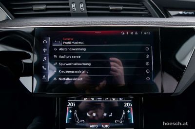 Audi Q8 e-tron Gebrauchtwagen