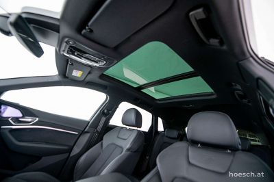 Audi Q8 e-tron Gebrauchtwagen