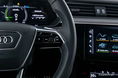 Audi Q8 e-tron Gebrauchtwagen