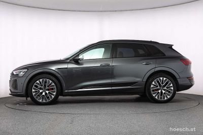 Audi Q8 e-tron Gebrauchtwagen