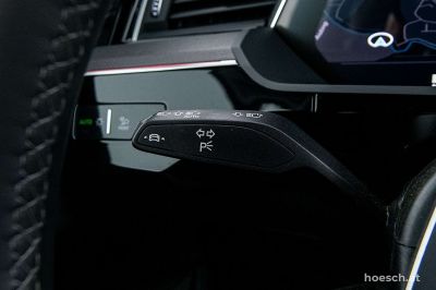 Audi Q8 e-tron Gebrauchtwagen