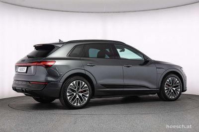 Audi Q8 e-tron Gebrauchtwagen
