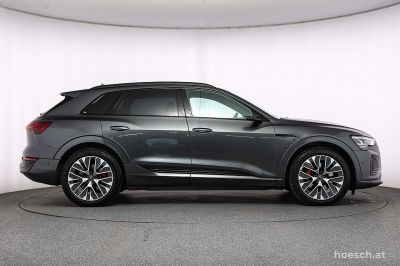 Audi Q8 e-tron Gebrauchtwagen
