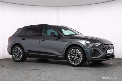 Audi Q8 e-tron Gebrauchtwagen