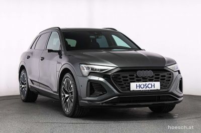 Audi Q8 e-tron Gebrauchtwagen