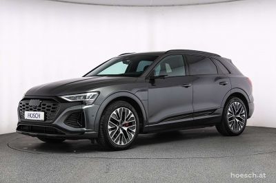 Audi Q8 e-tron Gebrauchtwagen