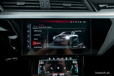 Audi Q8 e-tron Gebrauchtwagen Audi Q8 e-tron Gebrauchtwagen