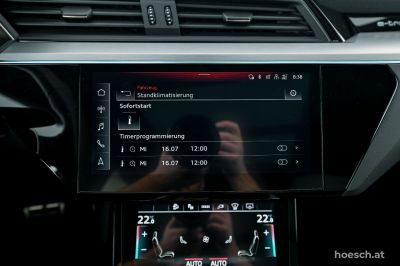 Audi Q8 e-tron Gebrauchtwagen