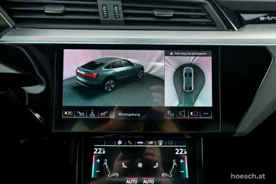 Audi Q8 e-tron Gebrauchtwagen