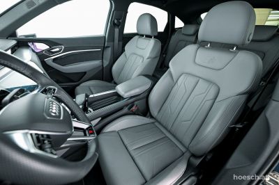 Audi Q8 e-tron Gebrauchtwagen