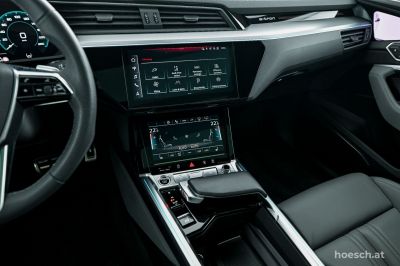 Audi Q8 e-tron Gebrauchtwagen