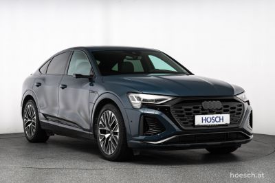 Audi Q8 e-tron Gebrauchtwagen