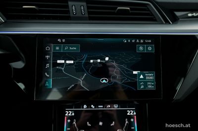 Audi Q8 e-tron Gebrauchtwagen