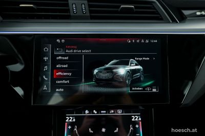 Audi Q8 e-tron Gebrauchtwagen Audi Q8 e-tron Gebrauchtwagen