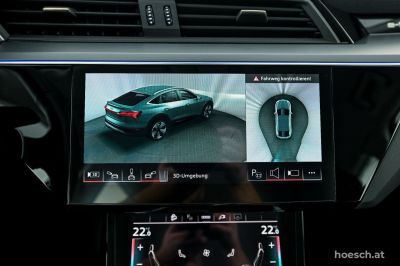 Audi Q8 e-tron Gebrauchtwagen Audi Q8 e-tron Gebrauchtwagen