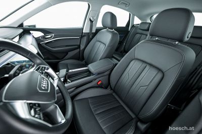 Audi Q8 e-tron Gebrauchtwagen