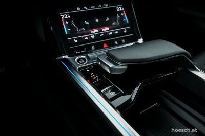 Audi Q8 e-tron Gebrauchtwagen