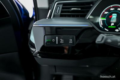 Audi Q8 e-tron Gebrauchtwagen