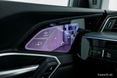 Audi Q8 e-tron Gebrauchtwagen