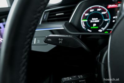 Audi Q8 e-tron Gebrauchtwagen