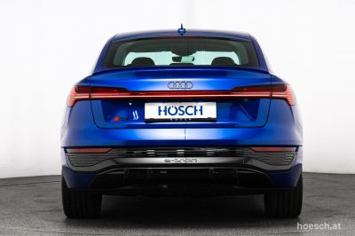 Audi Q8 e-tron Gebrauchtwagen