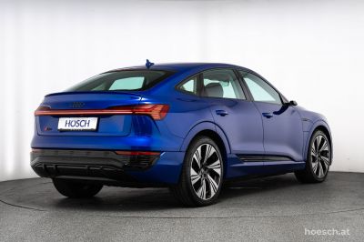 Audi Q8 e-tron Gebrauchtwagen