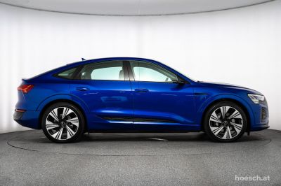 Audi Q8 e-tron Gebrauchtwagen