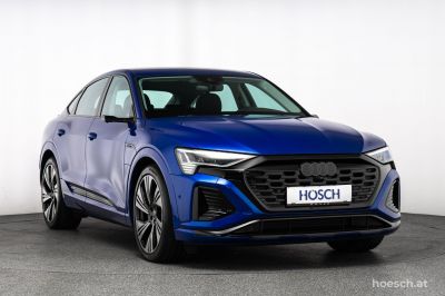 Audi Q8 e-tron Gebrauchtwagen