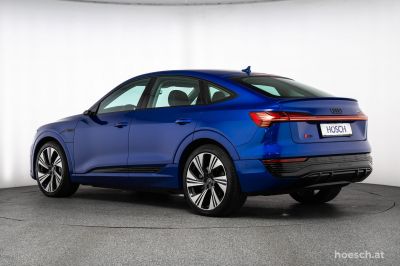 Audi Q8 e-tron Gebrauchtwagen