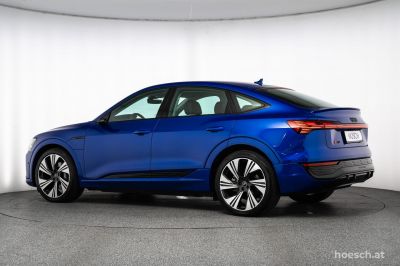 Audi Q8 e-tron Gebrauchtwagen