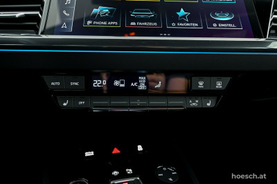 Audi Q4 e-tron Gebrauchtwagen