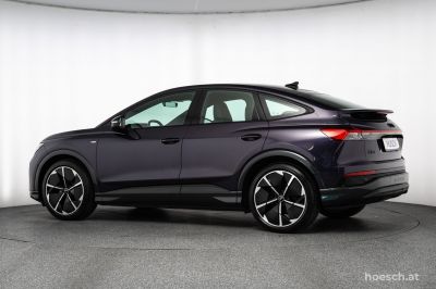 Audi Q4 e-tron Gebrauchtwagen
