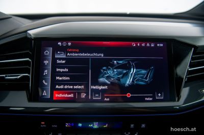 Audi Q4 e-tron Gebrauchtwagen