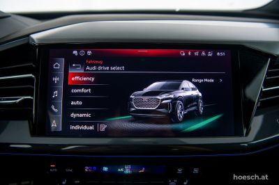 Audi Q4 e-tron Gebrauchtwagen