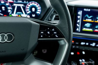 Audi Q4 e-tron Gebrauchtwagen