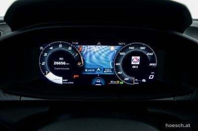 Cupra Terramar Gebrauchtwagen