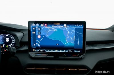 Cupra Terramar Gebrauchtwagen